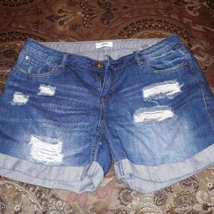 COPY - Kensie Distresses Shorts